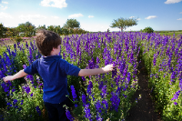 Spend Your Spring Break in Fredericksburg!